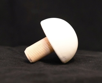 EK-weiss Endkappe rund 45 mm - deckend weiss lackiert